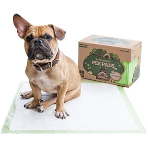 biodegradable dogie pee pads